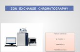 Ion exchange chromatography