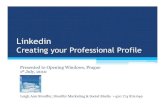 Linkedin, Creating Your Professional Profile
