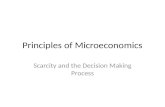 Principles Of Microeconomics Chapter 1
