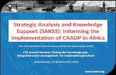 Strategic Analysis and Knowledge Support (SAKSS): informing the implementation of CAADP in Africa