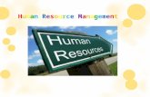 Why human resource management is so important to organization