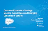 Customer Experience Strategy: Meeting Changing Expectations & Dynamics in Service