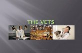 The vets 10 10-12 powerpoint
