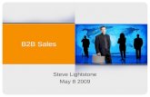 B2B Sales Overview 2009