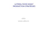 Lateral Flow Assay