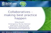 NZ Guidelines Group Self-harm and Suicide Prevention Collaborative: Progress in Implementing Change and Whakawhanaungatanga
