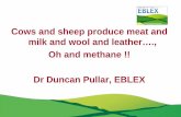 Cows and sheep produce meat, milk, wool, leather....oh and methane! - Dr Duncan Pullar (EBLEX)
