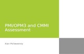 Pmi, Opm3 And Cmmi Assessment Overview