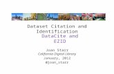 Dataset Citation and Identification