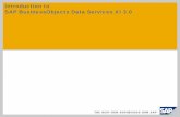 20100430 introduction to business objects data services