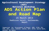 Action Plan and Roadmap for the Agricultural Development Strategy in Nepal Workshop