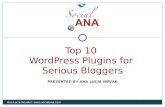 Plugins bloggers-slides