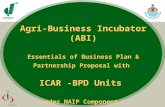 Abi ppt 2008-naip-partnership