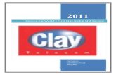 Clay telecom   global sim service