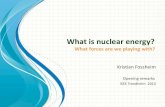 ISES 2013  - Day 1 - Prof. Dr. Philos Kristian Fossheim (President, Royal Norwegian Society of Sciences and Letters) - Nuclear Friend or Foe
