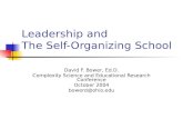 The Self Organizing School