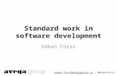 Standard work in software development less 2011 11-01
