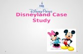 Disneyland case study