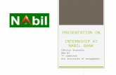 Presentation on Internship at Nabil Bank