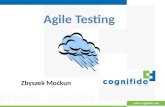 Agile Testing - presentation for Agile User Group