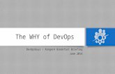 The Why of DevOps