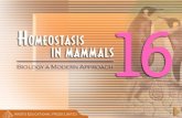 Homeostasis In Mammals  Ar