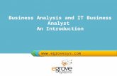 Business Analysis and IT Business Analyst – An Introduction