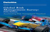Dtt Fsi Global Risk Management Survey Fifth Edition