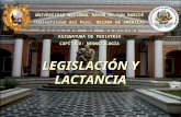 UNIVERSIDAD NACIONAL MAYOR DE SAN MARCOS (Universidad del Perú, DECANA DE AMÉRICA) ASIGNATURA DE PEDIATRÍA CAPÍTULO: NEONATOLOGÍA LEGISLACIÓN Y LACTANCIA.