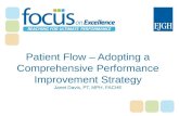 Patient Flow - Adopting a Comprehensicve Performance Improvement Strategy