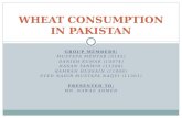Wheat Consumption In Pakistan Ppt