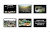 Xeriscape and the Sustainable Landscape - Texas Solar Energy Society