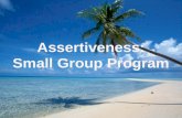 Report on assertiveness