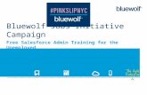 Bluewolf Jobs Initiative #pinkslipNYC