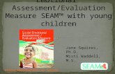 Using the Social-Emotional Assessment/Evaluation Measure (SEAM™) with Young Children