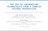 The Use of Information Technologies from a Complex Systems Perspective