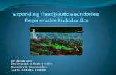 Expanding therapeutic boundaries: Regenerative Endodontics