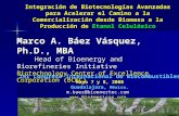 Integración de Biotecnologías Avanzadas para Acelerar el Camino a la Comercialización desde Biomasa a la Producción de Etanol Celulósico Marco A. Báez.