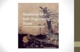 Scrum_BLR 9th meet up 28-Jun-2014 - Anatomy of a Self Organizing Team - Karthik Kamal