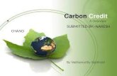 Carbon Credit  - Naresh Thakur