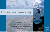 Entrepreneurship Chap 14