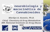 La neurobiología y la Farmacocinética de los Cannabinoides Marilyn A. Huestis, Ph.D. Chief, Chemistry & Drug Metabolism IRP, National Institute on Drug.