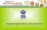 Gujarat  Agriculture: An Overview