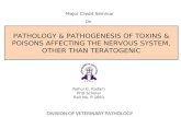 Pathology & pathogenesis of different toxins, poisons other than teratogenic affecting nervous system 03
