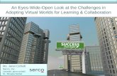 Overcoming Barriers to Adoption of Virtual Worlds in Government