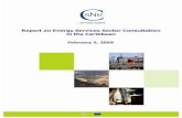CRNM - Report On Energy Services Sector Consultation