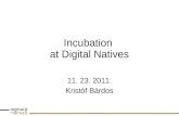 Digital natives incubation process_2011-11-23_v09