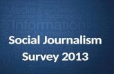 Cision - Global social journalism study 2013