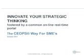 Proficient strategic thinking within reach of SME's