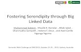 Fostering Serendipity through Big Linked Data